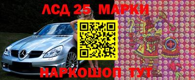 гашик Волжский