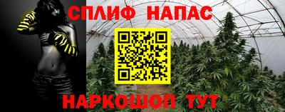 гашик Волжский