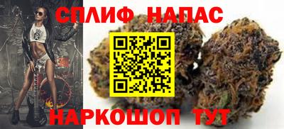 гашик Волжский